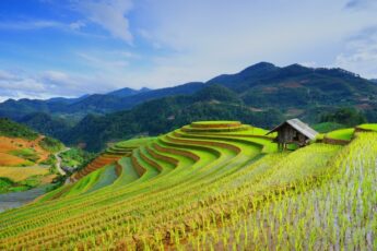 Malaysia to Introduce SMART Large-Scale Paddy Field (SMART SBB) by 2030