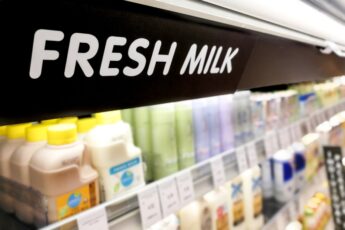 Dutch Manufacturer to have USD 265 Million Milk Factory Operating in 2023