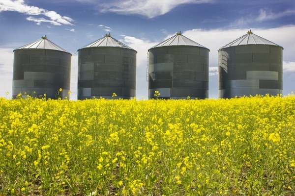 farming