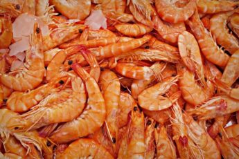 Vietnam’s Shrimp Sector Embracing Technology for Clean Supply Chain