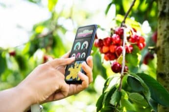 Cloud-Based App for Agri-Food Tech Launched